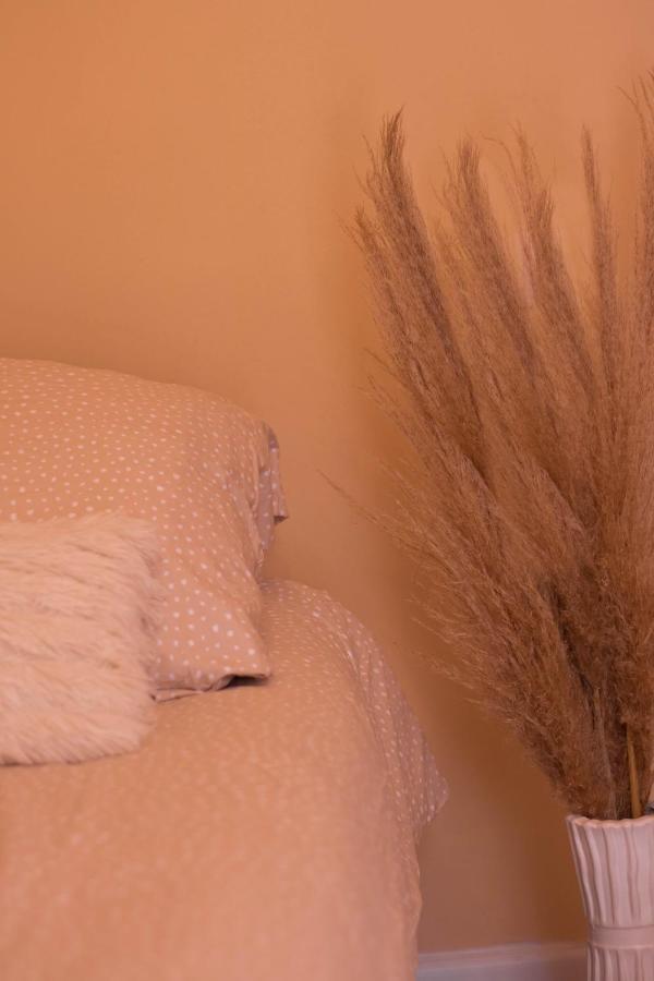 Luxury Studio Apartment Mostar Bagian luar foto